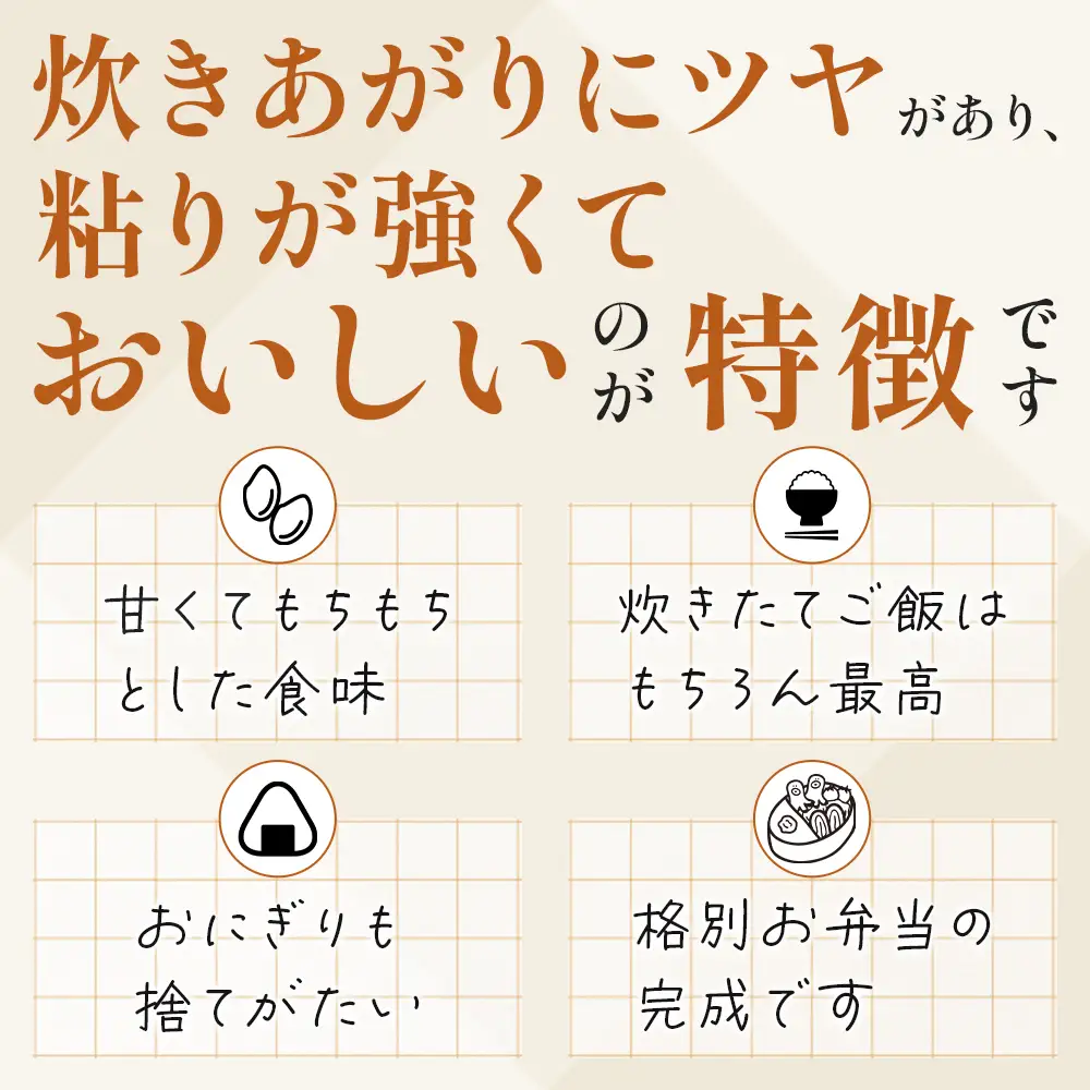 【R7年産米】多良木町 産『くまさんの輝き』 10kg ( 5kg×2袋 ) 精米 10月中旬～発送 熊本県 たらぎ お米 米 艶 粘りおこめ 甘み うま味 熊本の 米 10キロ 044-0586