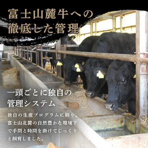 富士山麓牛 ロース薄切り＆ロースステーキセット 牛肉 食べ比べ 薄切り ジューシー 霜降り 