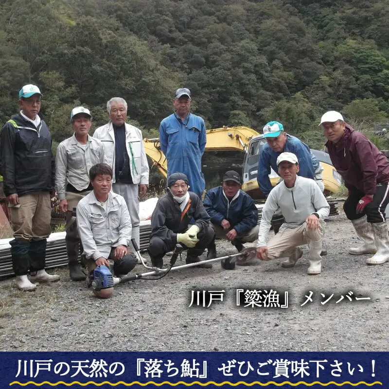《先行予約》 鮎 アユ 天然 冷凍 4匹 秋あゆ 落ち鮎 広島 江の川の天然鮎 簗漁鮎 季節限定_KA088_001