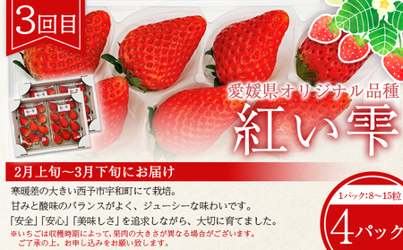 【定期便全3回】紅マドンナジュース・愛媛みかん・谷口農園のいちご（紅い雫） OFA0005
