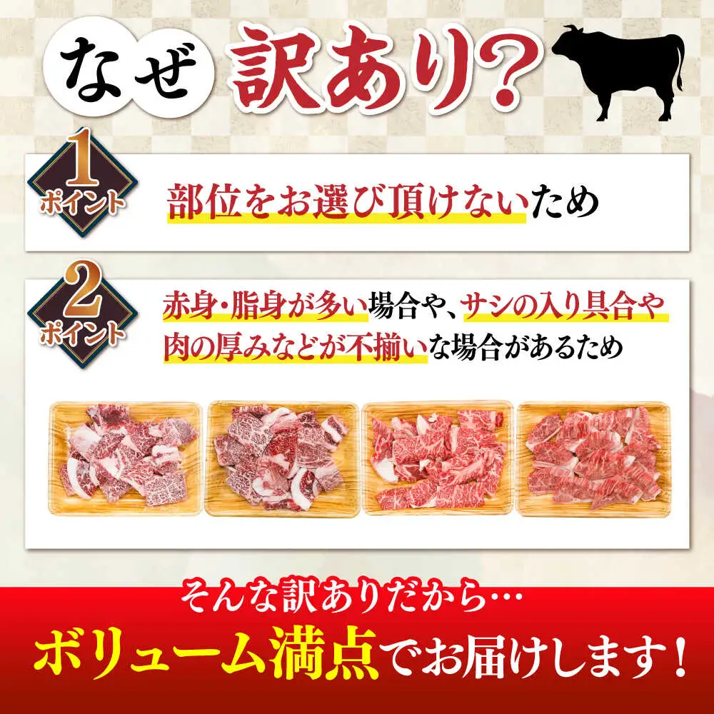 切り落し 【全12回定期便】 【訳あり】 1kg  [ABBP156] 切り落し