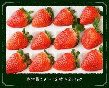 【令和9年発送】大粒さがほのか9~12粒入×2パック 【 国産 イチゴ 苺 果物 くだもの 期間限定 数量限定 】 