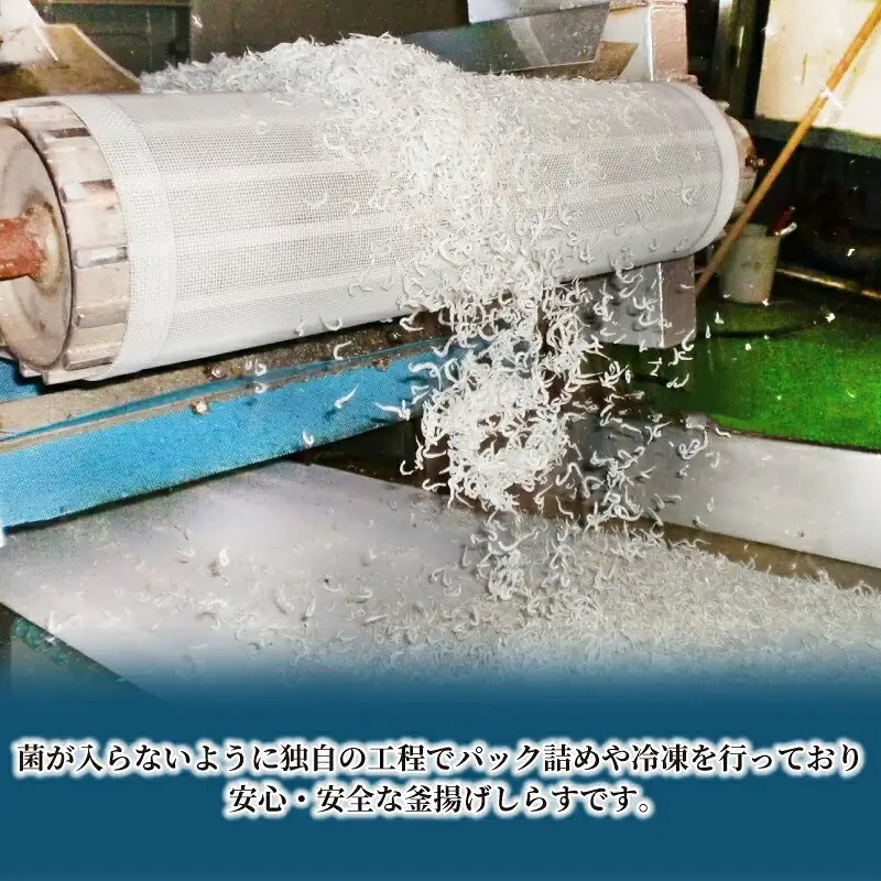 しらす 釜揚げしらす 100g × 10袋 計 1kg 時栄水産 釜揚げ 冷凍 小分け 魚 さかな sirasu 国産しらす ちりめん じゃこ 鰯 いわし しらす丼 海鮮丼 ご飯 おつまみ 加工品 ふりかけ 海の幸 魚介 小魚 離乳食 おすすめ 人気 産地直送 数量限定 国産 愛媛 愛媛県産 宇和島 D010-174001