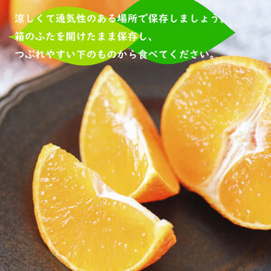 【2027年1月下旬ごろ順次発送】甘平 約3kg | みかん 柑橘 愛媛三大高級柑橘( 紅まどんな せとか 甘平 )【SHM0041】