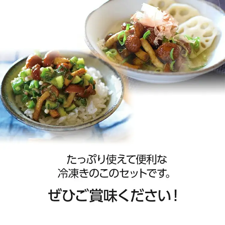 冷凍きのこセット500g×4（博多すぎたけ・しめじ・えのき・エリンギ）　AU03