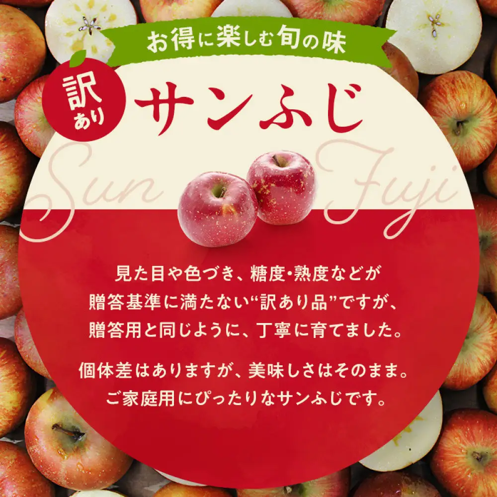 紅玉屋 長野市産【訳あり】サンふじ10kg【2026年12月上旬以降の出荷分】（紅玉屋） | りんご フルーツ りんご