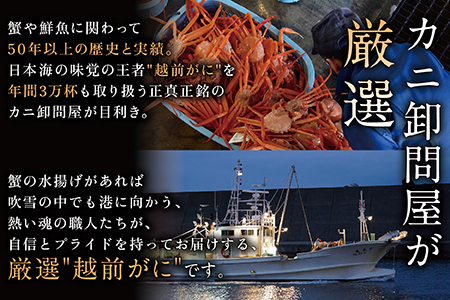 越前がに(オス) 600g以上× 1杯  越前ガニ　正規　冷蔵