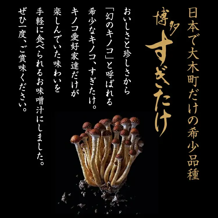 博多すぎたけ　フリーズドライ味噌汁（6食セット）　AU05