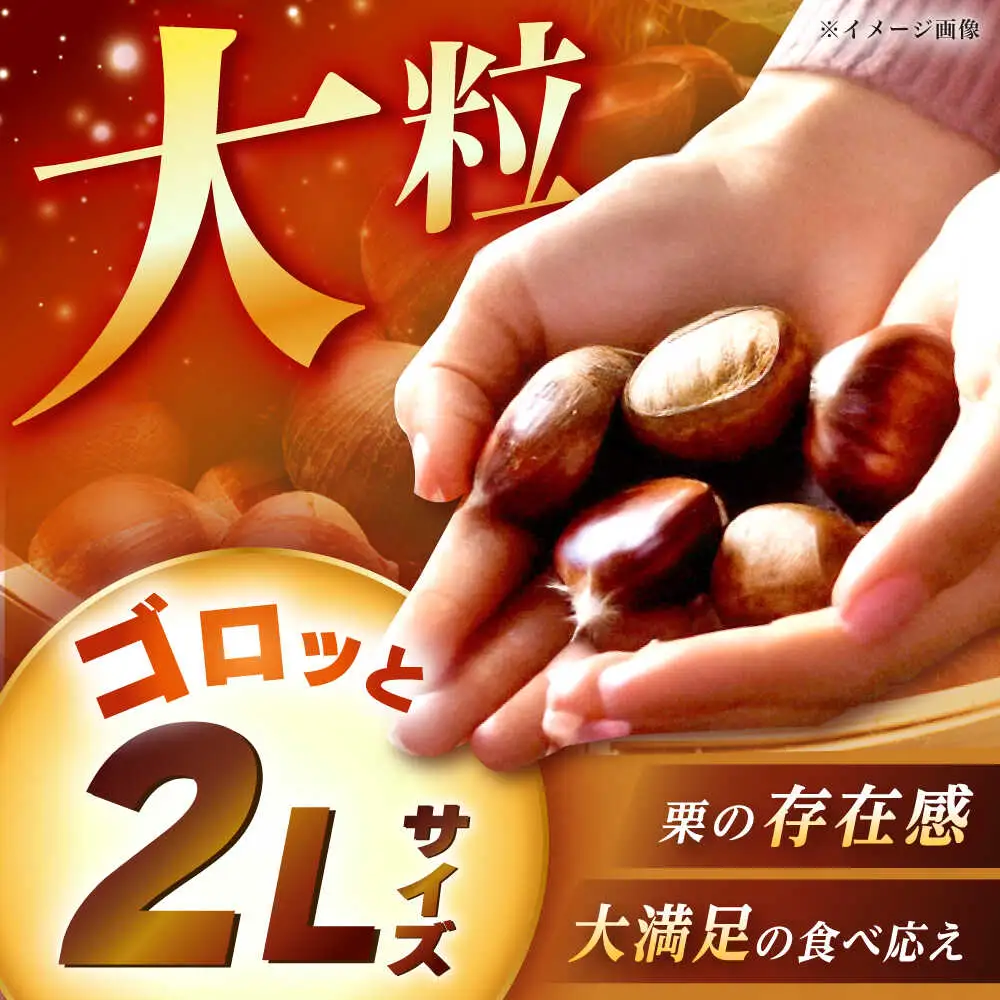 【先行予約】おやすみ栗（マロン）2kg（2Lサイズ） / 恵那市 / えな笠置山栗園 [AUAV001]