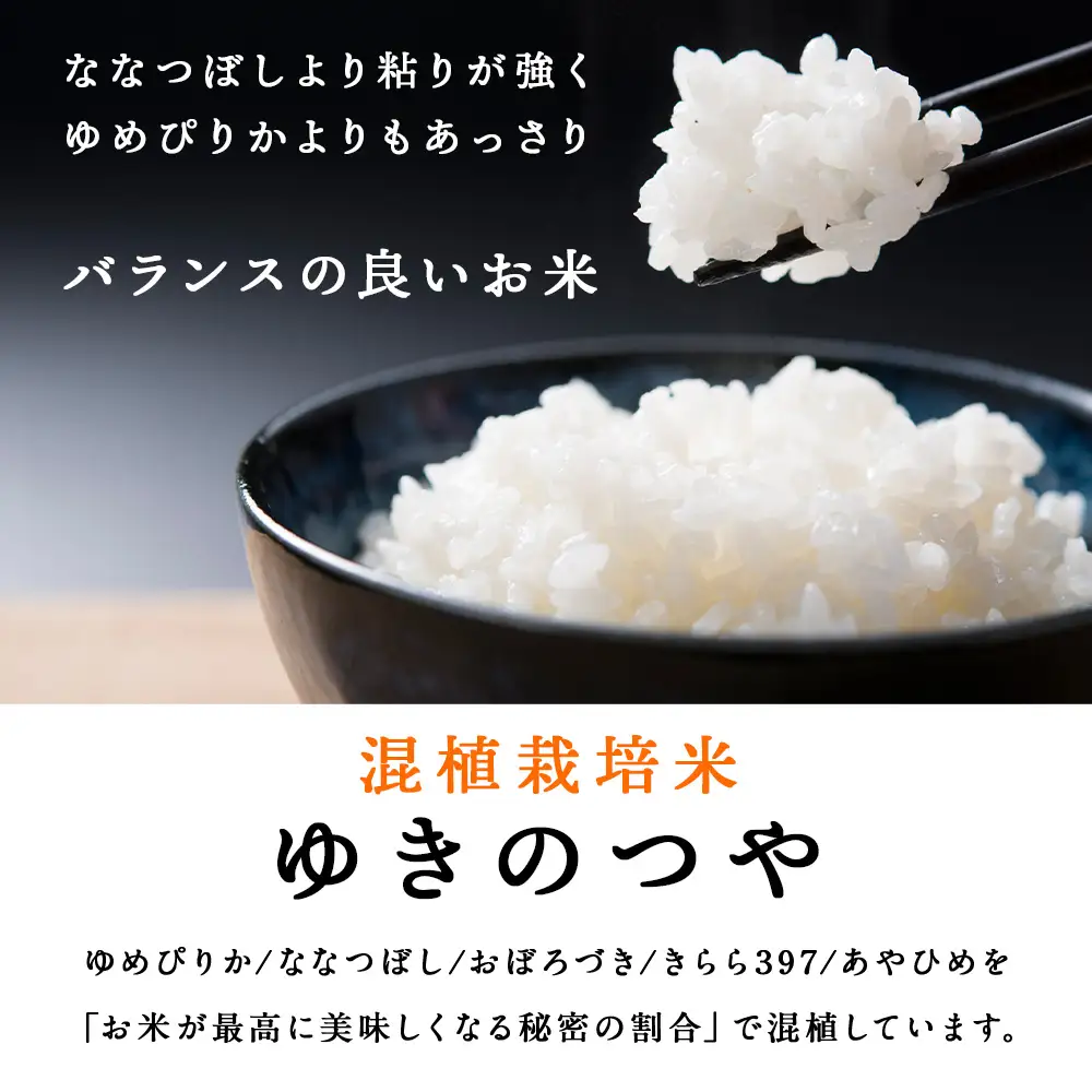 【定期便 12カ月】北斗米ゆきのつや10kg （5kg×2袋）お米 こめ 精米 白米 ごはん ブランド米 国産米 北海道産 東神楽町