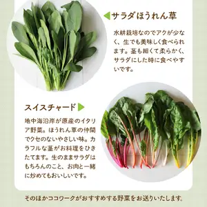 ココワークの水耕栽培野菜 約1kg ゆず人参ドレッシング2本 セット