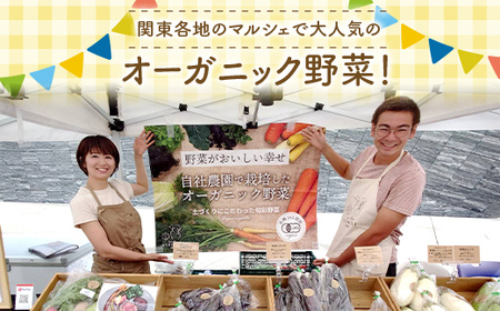 大人気パリパリ食感！彩り3種の有機にんじんを使った人参チップス4パック（無塩と塩味） F23R-548