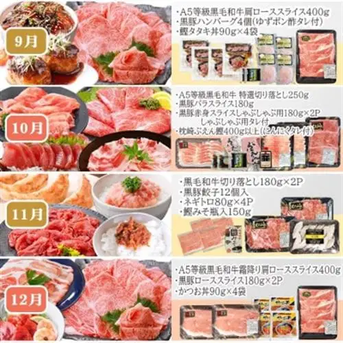 定期便(12回配送)お楽しみ便(A5等級黒毛和牛・黒豚・かつお・まぐろ・さつまあげ等)JJ-6002_肉 お肉 牛肉 サーロイン ステーキ 焼肉 ハンバーグ 切り落とし 豚肉 ロース バラ しゃぶしゃぶ 餃子 鰹_【配送不可地域：離島】【1166755】