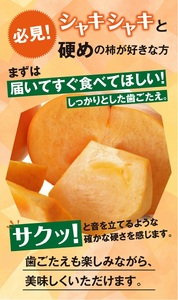 SA3073　果樹専業農家 佐藤農園の庄内柿　約10kg(54～72玉入)　M～2Lサイズ
