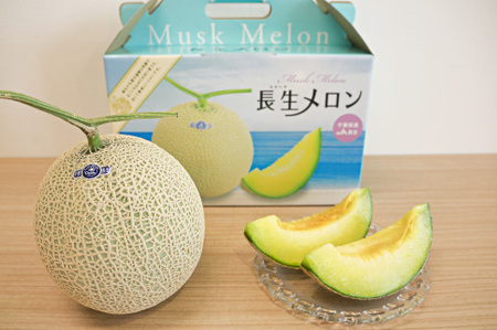 長生マスクメロン２玉（約3.5kg）【2026年夏発送分】