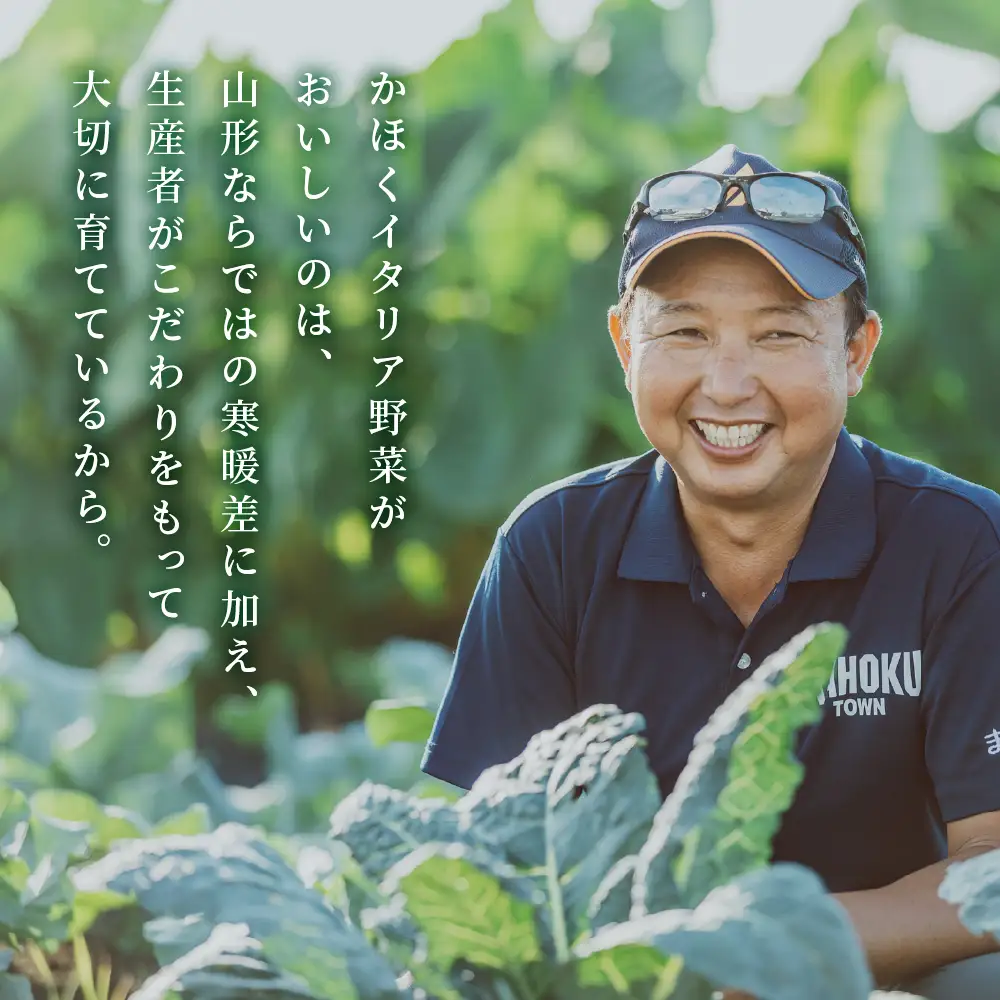 野菜 かほくイタリア野菜 旬のおまかせBOX 5-8種 野菜