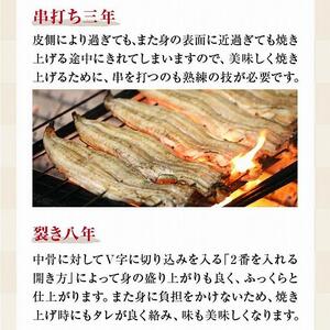 国産 うなぎの蒲焼き 特大 180g  タレ・山椒付［1-2人前］