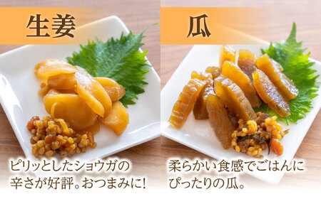 茄子 の 宝漬 （こうじ漬 詰合） / 漬物 つけもの ツケモノ なす こうじ きゅうり 大根 生姜 瓜 もろみ つけもの ツケモノ ツケモノ/ 南島原市 / 大平食品 [SAK003]