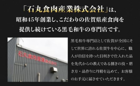佐賀牛入りハンバーグ がばいばーぐ 12個（140g/個） ハンバーグ