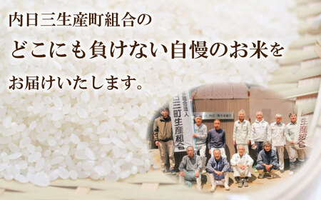 令和7年産 コシヒカリ 10kg (5kg×2箱) 山口県産 特別栽培エコ50 (化学農薬・肥料50％以上削減/精米まで一貫加工) 下関 《内日三町：DZ》