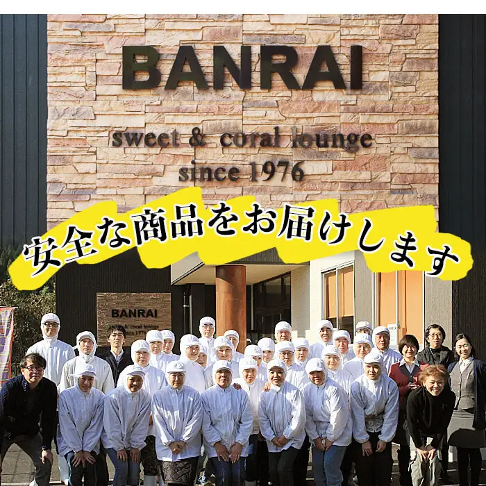 ＜入金確認後、2週間以内に発送！＞スティックタイプの大学芋♪薩摩おいも棒セット 計2.25kg(250g×9袋) a2-077-2w