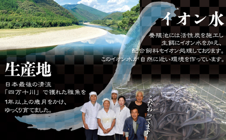 26-006．四万十川優化イオンうなぎ蒲焼2尾（ボイル肝、たれ付き）