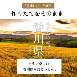 生うどん 麺のみ 9食（300g×3袋）普通麺｜うどん 生麺 生うどんうどん 麺 めん 人気 うどん めん 人気 生めん うどん
