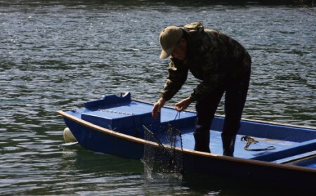 四万十川漁協遊漁券 1年券 【令和8年3月1日～令和9年2月28日】 高知 四万十川 令和9年 令和8年 2027年 2026年 釣り 川釣り フィッシング 遊漁 遊漁券 アウトドア うなぎ ウナギ 鰻 あゆ アユ 鮎 四万十市 四万十 26-113