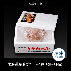北海道産 毛ガニ1杯(750～780g)_H0001-1301