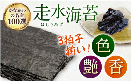 【訳あり】ごま塩味付け海苔 八切り80枚×1袋 [AKAB020]走水海苔