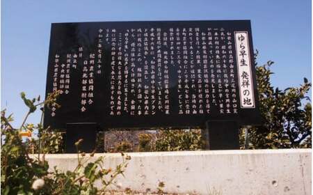 由良早生 みかん 3kg 秀品 / ゆら早生 温州みかん 極早生 甘い 和歌山 柑橘 ※2026年10月上旬～10月下旬頃順次発送予定  ※北海道・沖縄・離島への配送不可 【sml003-yura-r3A】