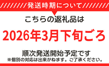 【 先行予約 】筑波サーキット 会員走行チケット 2輪 3枚セット 【 2026年4月 ～ 2027年3月末まで使用可能 】