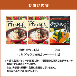 鶏飯 ・ パパイヤ 入り 奄美 カレー セット A003-006 レトルト 総菜 惣菜 島料理 伝統料理 ソウルフード おもてなし料理 ごはん 手軽 時短 三環舎 ふるさと納税 鹿児島 奄美市 おすすめ ランキング プレゼント ギフト
