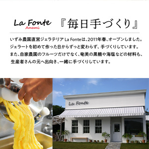 【 La Fonte 】 手づくり ジェラート 奄美 12個 セット A084-002 アイス フルーツジェラート パッションフルーツ マンゴー たんかん スモモ 奄美黒糖 海塩 ジェラートセット 手作り 純黒糖 冷凍便 冷凍 新鮮 甘い 美味しい お任せ LaFonteラフォンテ ふるさと納税 鹿児島 奄美市 おすすめ ランキング プレゼント ギフト