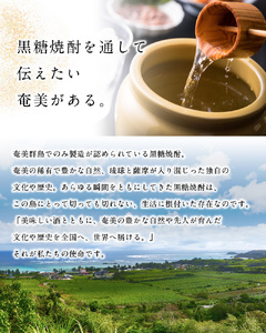 奄美すもも酒・たんかん酒 720ml 2本セット A007-003 奄美 黒糖焼酎仕込み 果実酒 すもも酒 たんかん酒 720ml 2本 セット リキュール 町田酒造 里の曙 プレゼント