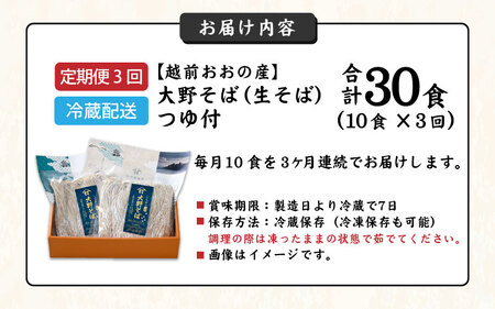 【3ヶ月定期便】生そば 10食 × 3回 計30食 つゆ付｜越前そば  大野  名水  石臼挽き