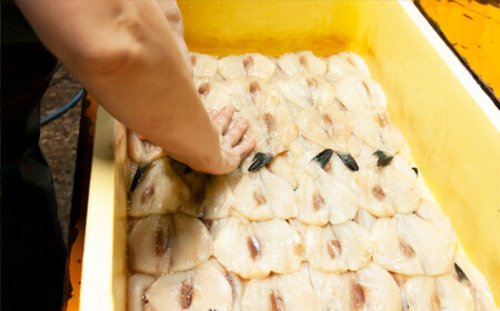 カワハギみりん干し 高級干物 かわはぎ ひのも 480ｇ（120ｇ×4袋） 鮮魚 新鮮 絶品 高級魚  たっぷり 満足 おすすめ干物 人気ひもの 簡単 調理 手作り干物 絶品ひもの カワハギ 三重県 尾鷲市 IW-6