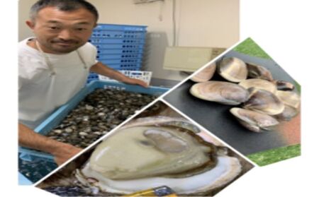 うま味が濃い純白出汁の天然”ゼンナ”冷凍（蛤小）2kg入り 魚貝類 旨み 濃厚な出汁 天然はまぐり 身が厚い 甘み 貝 海の幸 海鮮 国産 九十九里浜産 