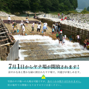 G11-01 板取川洞戸観光ヤナお食事券