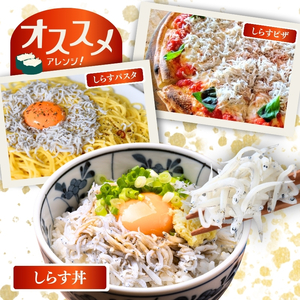 冷凍釜揚げしらす1kg（100g×10パック） / シラス 厳選 小分け 冷蔵便 大容量 お米のおとも【dig207-f-1000】
