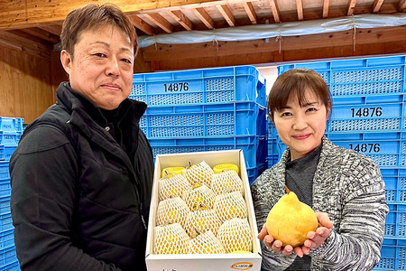 【2026年先行予約】【贈答用】西洋梨ル・レクチェ 約4kg（9～12玉）《11月下旬～順次出荷》幻の洋梨 フルーツ 贈答 冬の味覚 加茂市 いずみ果樹園