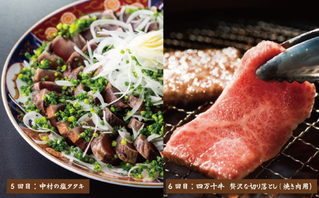 26-068．【7ヵ月連続定期便】四万十市人気魚介＆お肉返礼品