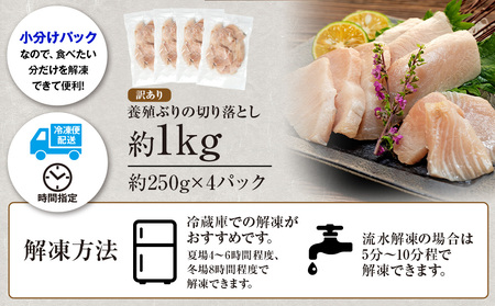 【訳あり】ブリ切り落とし約1kg南予ビージョイブリ|D012-150002