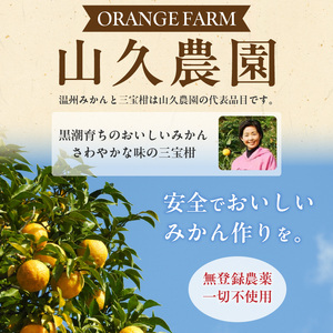 ZP6009n_まるごと三宝柑シャーベット 5個 セット