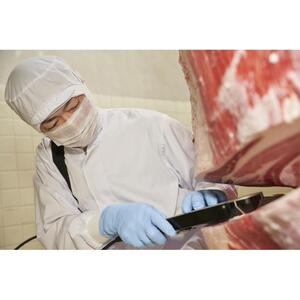 【群馬県産赤城牛と和豚もちぶたの生ハンバーグ130ｇ×14個・ソース20ｍｌ×15個】