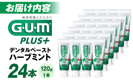 歯磨き粉 ガム・プラス デンタルペースト（ハーブミント）[AOAD027] 歯磨き粉