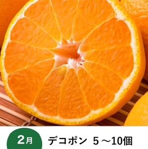 【愛媛県共通返礼品】【定期便】愛媛の柑橘定期便（全6回）（日の丸みかん・紅まどんな・いよかん・不知火（デコポン）・せとか・河内晩柑）◇ ※2026年11月～発送