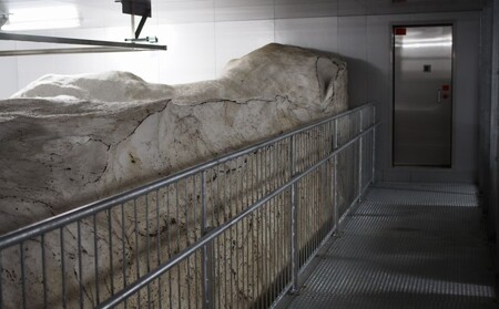 令和7年 新潟県産 棚田米 コシヒカリ 精白米 5kg 5キロ 雪中貯蔵 雪むろ こしひかり 精米 お米 こめ 新潟 上越 米 送料無料