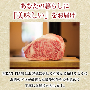 黒毛和牛 牛肉切り落とし 500g [a9429] 牛肉切り落とし