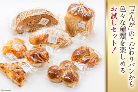 パン ぶんがお試し セット 8個入 [しぜん酵母と石窯ぱん bungaーぶんがー 長野県 池田町 48110557]